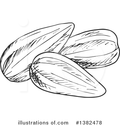 Sunflower Seeds Clipart #1382478 by Vector Tradition SM