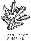 Sunflower Seeds Clipart #1457148 by Vector Tradition SM