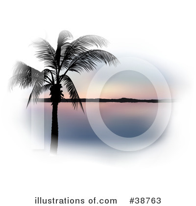 Palm Tree Clipart #38763 by dero