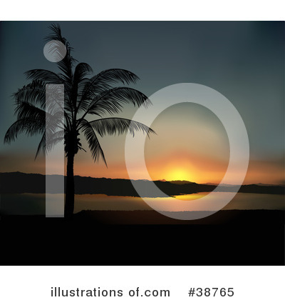 Palm Trees Clipart #38765 by dero