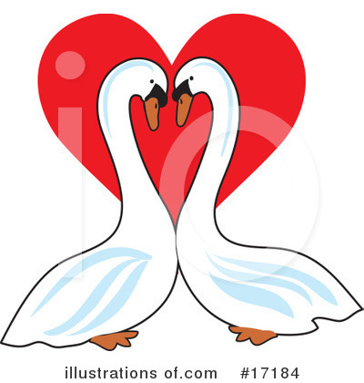 Mute Swan Clipart #17184 by Maria Bell