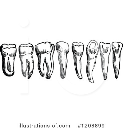 Royalty-Free (RF) Teeth Clipart Illustration by Prawny Vintage - Stock Sample #1208899