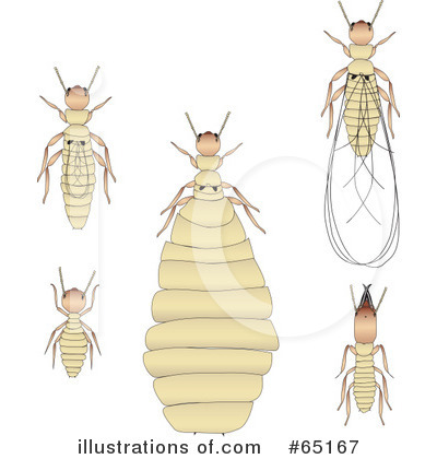 Royalty-Free (RF) Termite Clipart Illustration by Dennis Holmes Designs - Stock Sample #65167