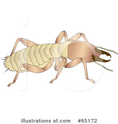 Royalty-Free (RF) Termite Clipart Illustration by Dennis Holmes Designs - Stock Sample #65172