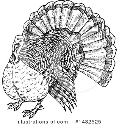 Turkey Bird Clipart #1432525 by Vector Tradition SM