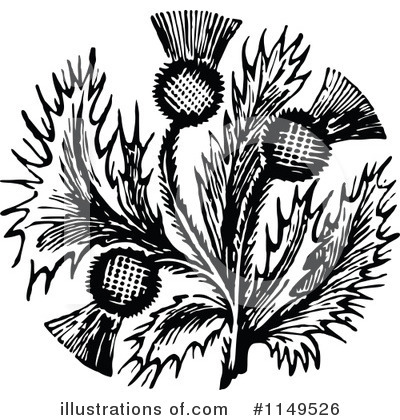 Thistle Clipart #1149526 by Prawny Vintage