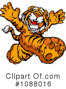 Tiger Clipart #1088016 by Chromaco