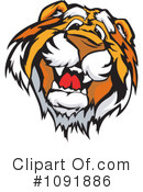 Tiger Clipart #1091886 by Chromaco