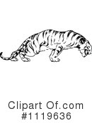 Tiger Clipart #1119636 by Prawny Vintage