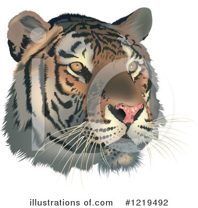Royalty-Free (RF) Tiger Clipart Illustration by dero - Stock Sample #1219492