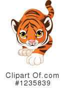 Tiger Clipart #1235839 by Pushkin