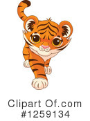 Tiger Clipart #1259134 by Pushkin