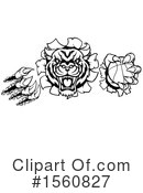 Tiger Clipart #1560827 by AtStockIllustration