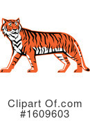 Tiger Clipart #1609603 by patrimonio