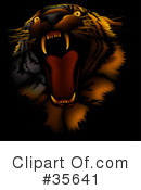 Tiger Clipart #35641 by dero
