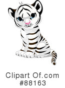 Tiger Clipart #88163 by Pushkin