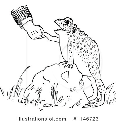 Royalty-Free (RF) Toad Clipart Illustration by Prawny Vintage - Stock Sample #1146723