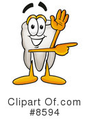 Tooth Clipart #8594 by Mascot Junction