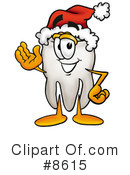 Tooth Clipart #8615 by Mascot Junction