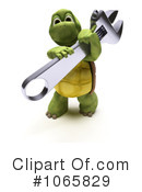 Tortoise Clipart #1065829 by KJ Pargeter