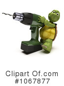Tortoise Clipart #1067877 by KJ Pargeter