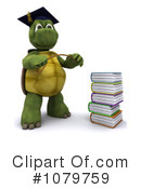 Tortoise Clipart #1079759 by KJ Pargeter