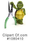 Tortoise Clipart #1080410 by KJ Pargeter