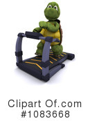 Tortoise Clipart #1083668 by KJ Pargeter
