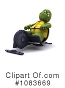 Tortoise Clipart #1083669 by KJ Pargeter