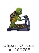 Tortoise Clipart #1089785 by KJ Pargeter