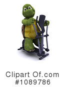 Tortoise Clipart #1089786 by KJ Pargeter