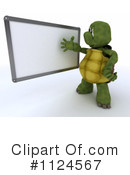 Tortoise Clipart #1124567 by KJ Pargeter