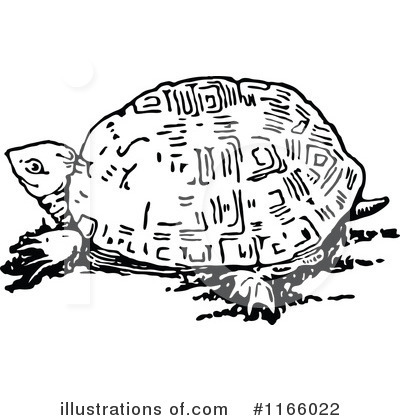 Turtle Clipart #1166022 by Prawny Vintage