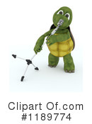 Tortoise Clipart #1189774 by KJ Pargeter