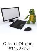 Tortoise Clipart #1189776 by KJ Pargeter