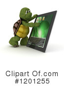 Tortoise Clipart #1201255 by KJ Pargeter