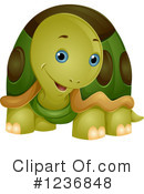Tortoise Clipart #1236848 by BNP Design Studio