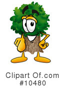 Tree Clipart #10480 by Mascot Junction