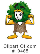 Tree Clipart #10485 by Toons4Biz