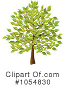 Tree Clipart #1054830 by elaineitalia