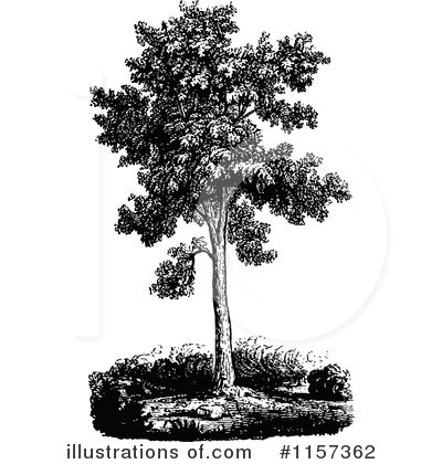 Royalty-Free (RF) Tree Clipart Illustration by Prawny Vintage - Stock Sample #1157362
