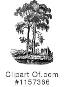 Tree Clipart #1157366 by Prawny Vintage