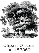 Tree Clipart #1157369 by Prawny Vintage