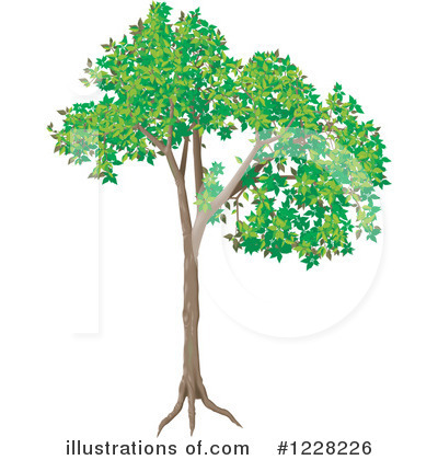 Royalty-Free (RF) Tree Clipart Illustration by dero - Stock Sample #1228226