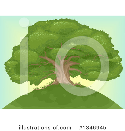 Tree Clipart #1346945 by BNP Design Studio