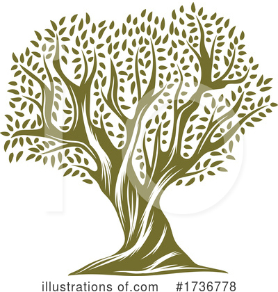 Olive Tree Clipart #1736778 by Vector Tradition SM