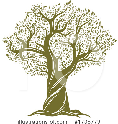 Olive Tree Clipart #1736779 by Vector Tradition SM