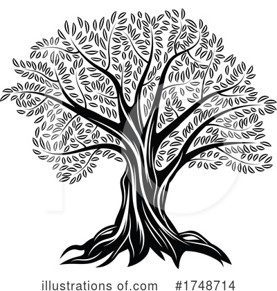 Olive Tree Clipart #1748714 by Vector Tradition SM