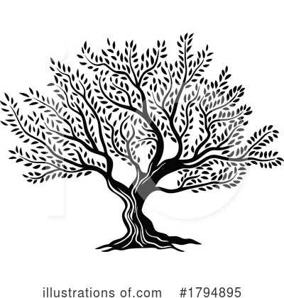 Olive Tree Clipart #1794895 by Vector Tradition SM