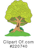 Tree Clipart #220740 by visekart